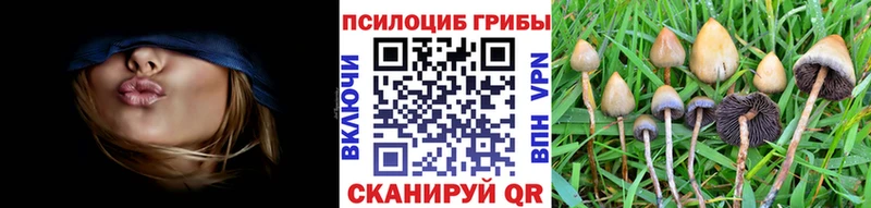 купить наркоту  Сычёвка  нарко площадка клад  Галлюциногенные грибы ЛСД 